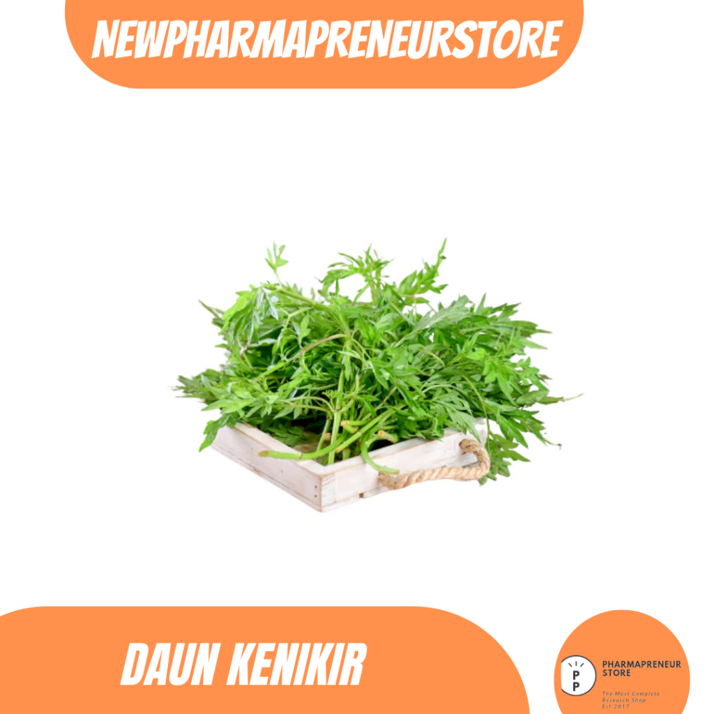 

DRIED SERBUK KENIKIR BEST QUALITY