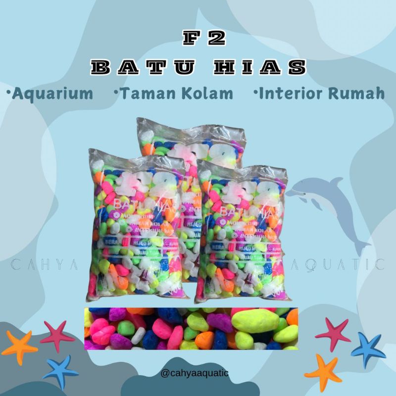 Cahya Batu Hias F2 Aquatic