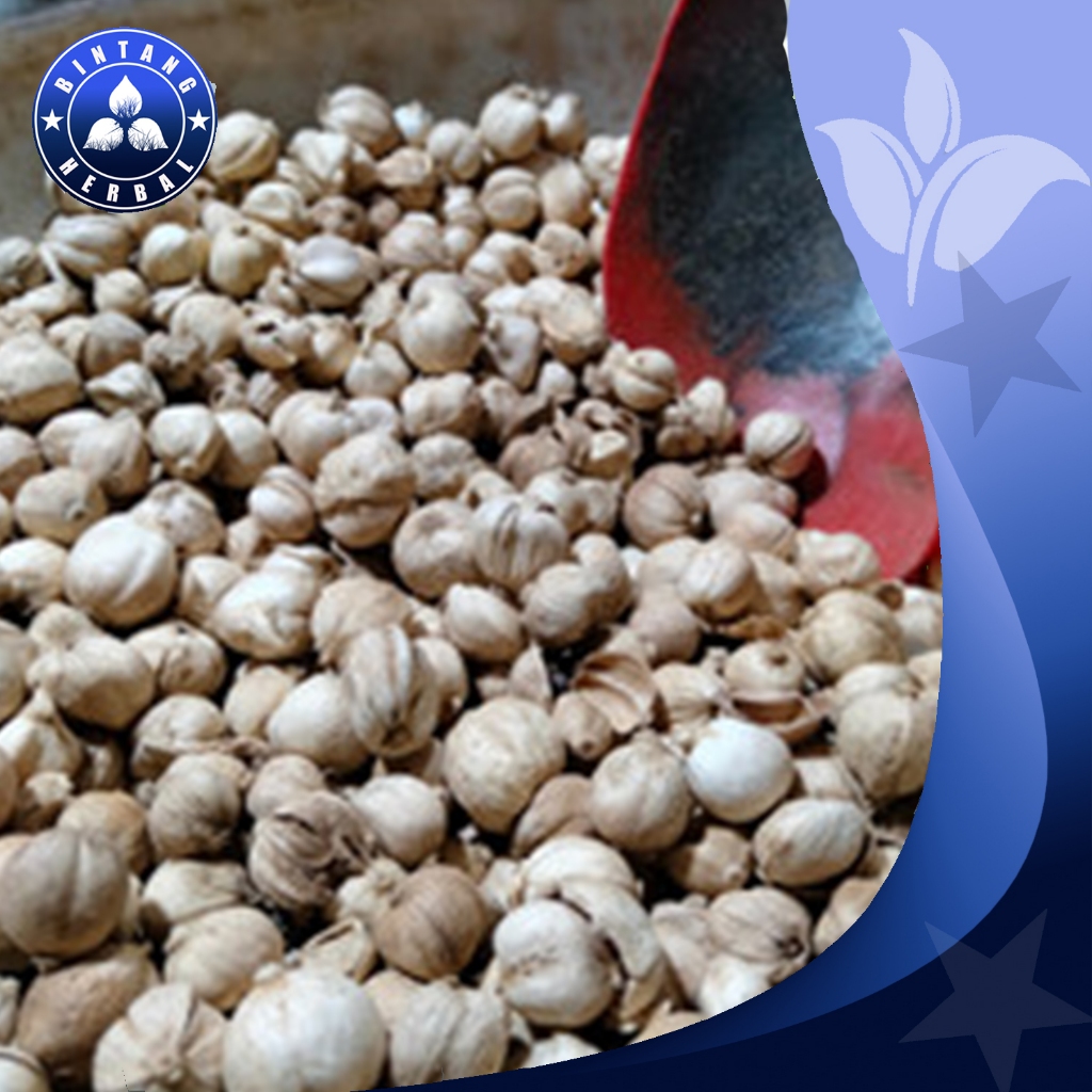 

BIJI KAPULAGA KERING \ 1 KG - BINTANG HERBAL