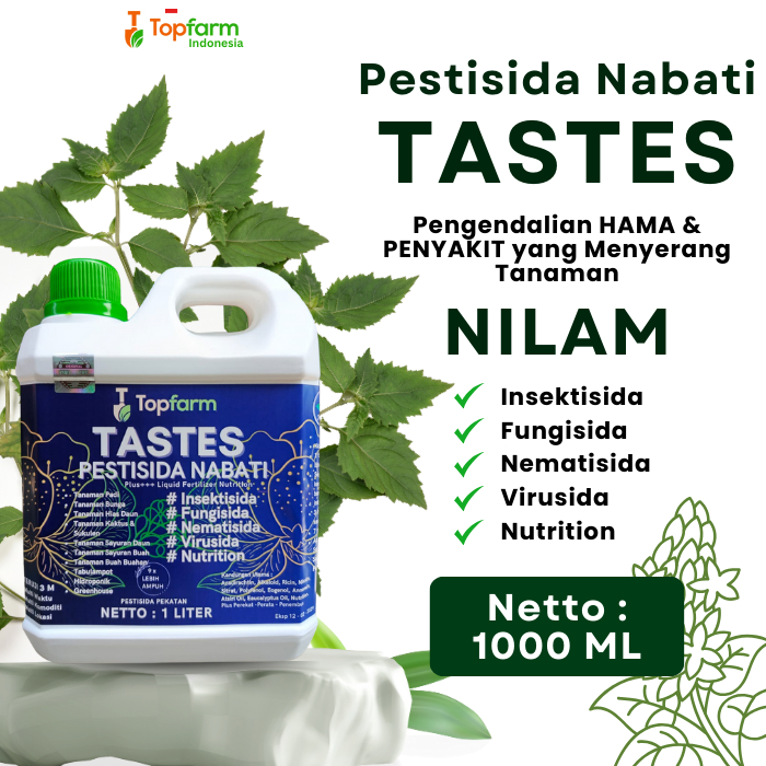 Obat Hama Untuk Tanaman Nilam / Obat Penyakit Nilam / Obat Daun Lebar/ Pestisida Daun Lebar / Obat H