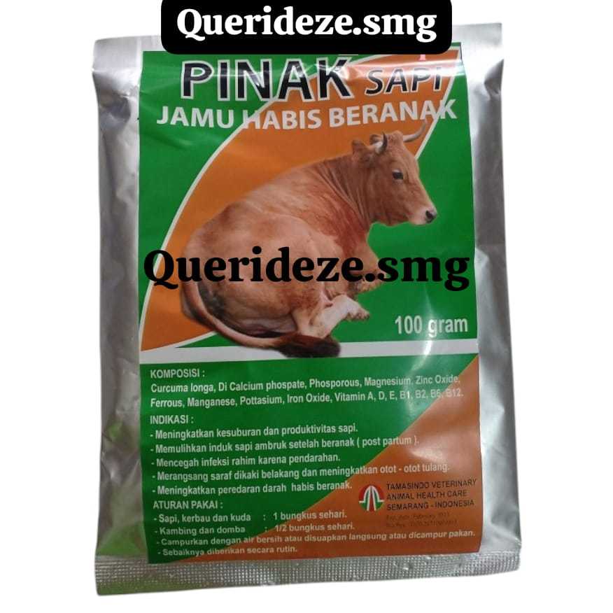 PINAK sapi meningkatkan birahi, kesuburan, pemulihan habis beranak