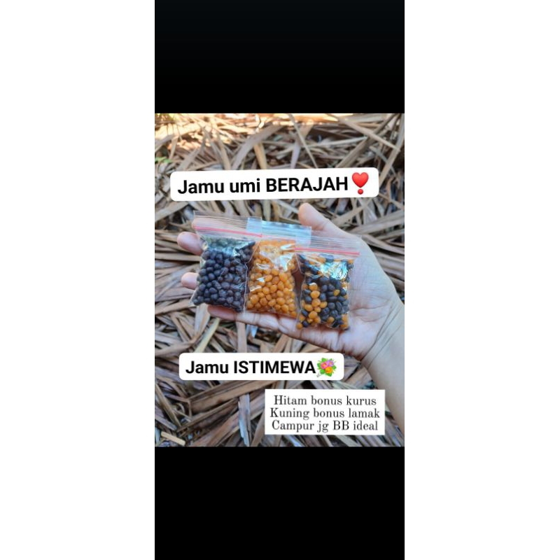 

JAMU ISTEMEWA KOMPLIT!!!