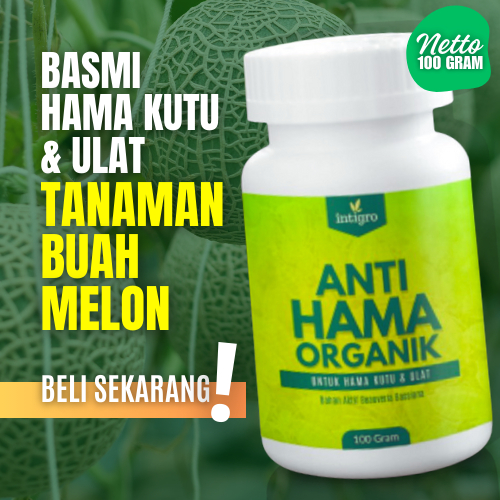 Obat Pembasmi Hama Tanaman Buah Melon Kutu Daun Ulat Lalat Buah Pengendali Hama Insektisida Wereng K