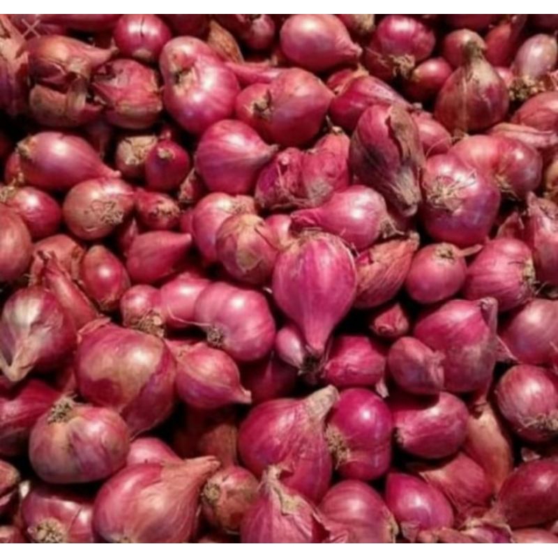 

Bawang Merah kering 1 kg