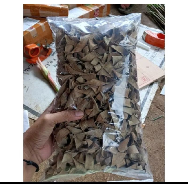 

daun kebo kering obat setrok 100g