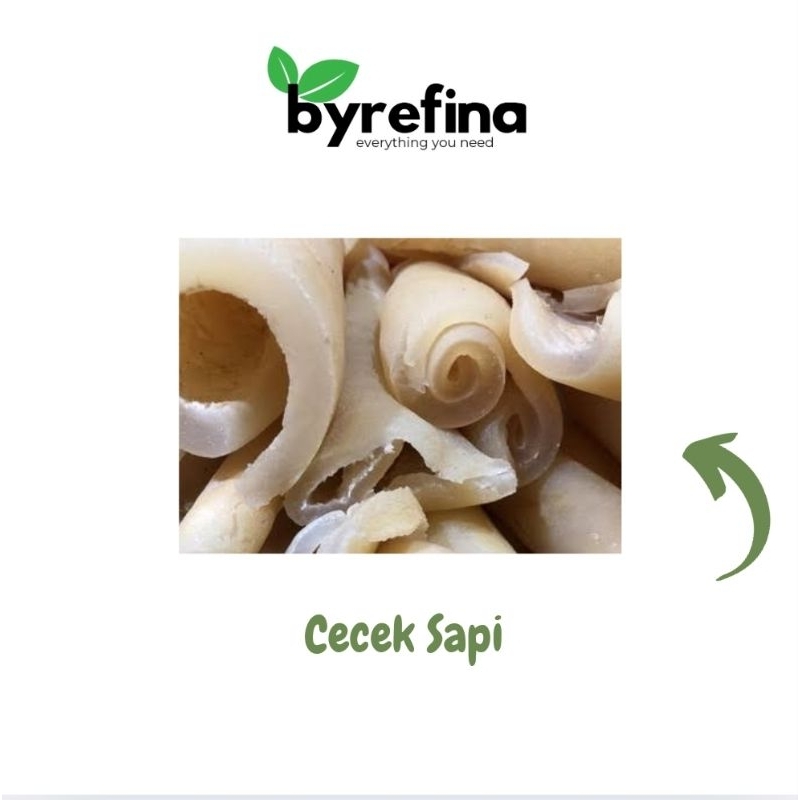 

Cecek Sapi 250gr Surabaya / Byrefina
