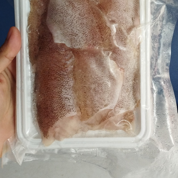 

Ikan Kerapu Fillet Segar