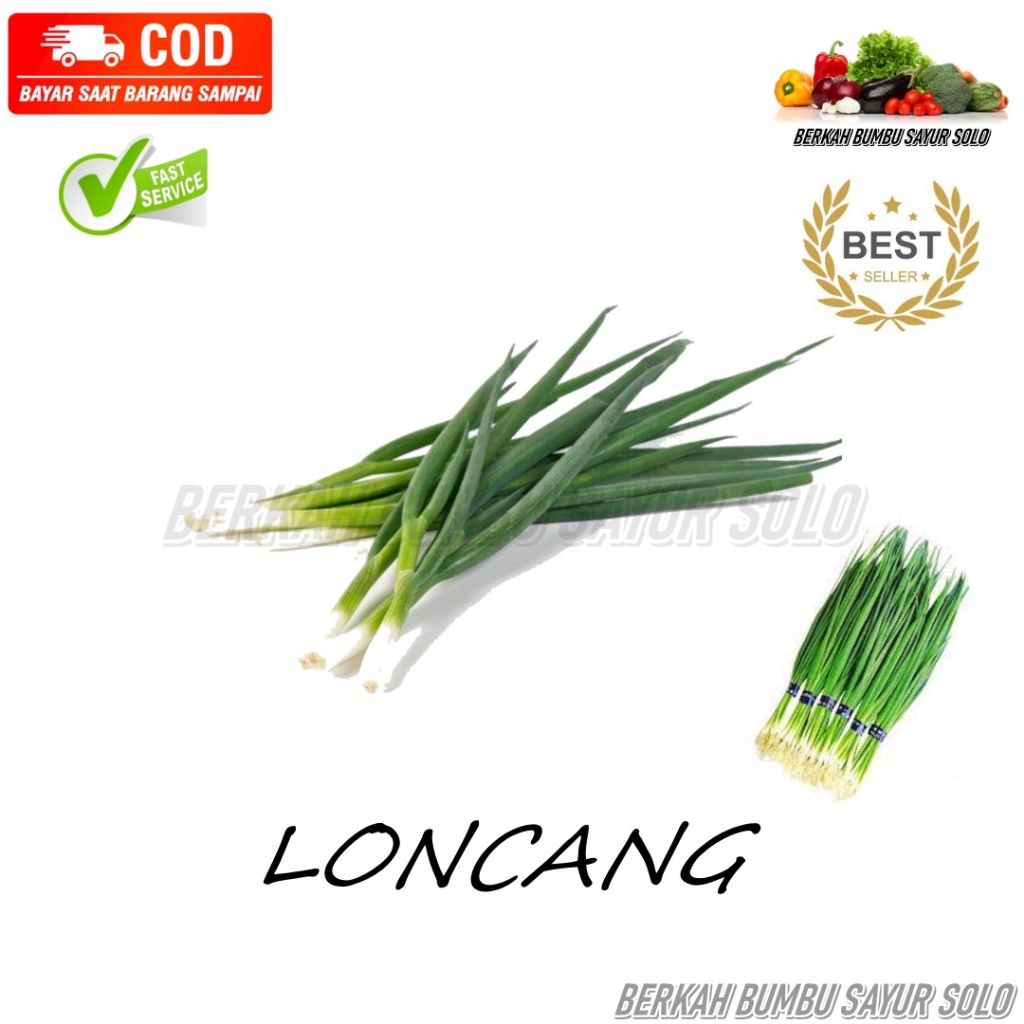 

LONCANG(DAUN BAWANG) (2)