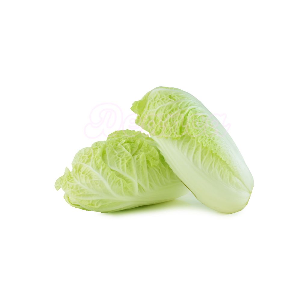 

Sawi Putih | Chinese Cabbage