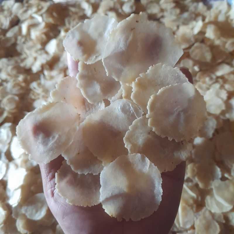 

EMPING MELINJO 1kg FULL KERING asli limpung
