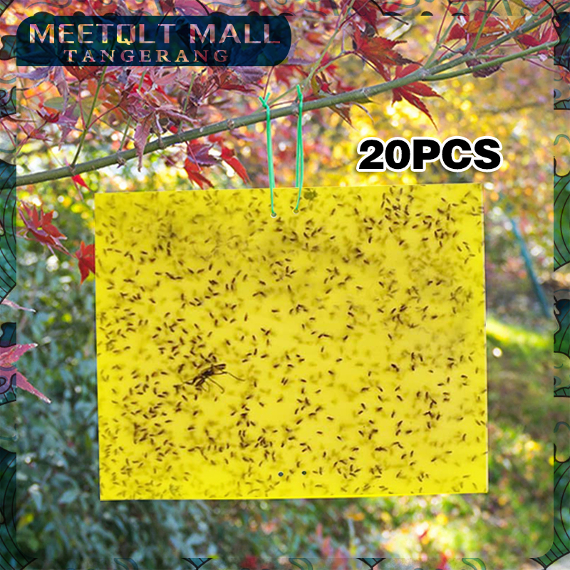 Lem Perangkap Lalat Buah Dan Serangga- Lem Perangkap Lalat Nyamuk Tanaman Bunga Kebun Buah