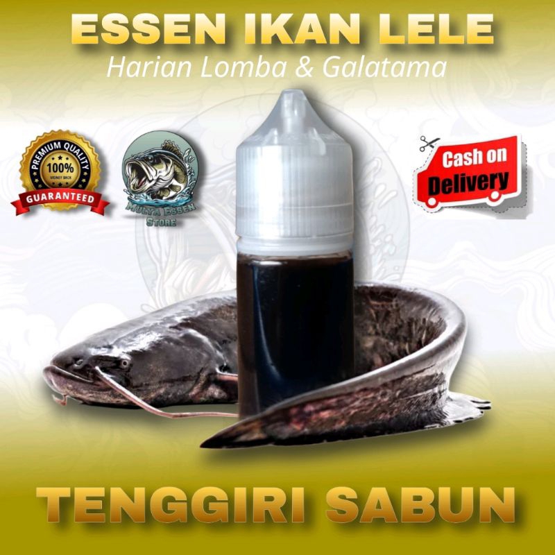Essen Khusus Ikan Lele Yang Paling Jitu Untuk Harian Lomba Dan Galatama, Essen Khusus Ikan Lele Arom