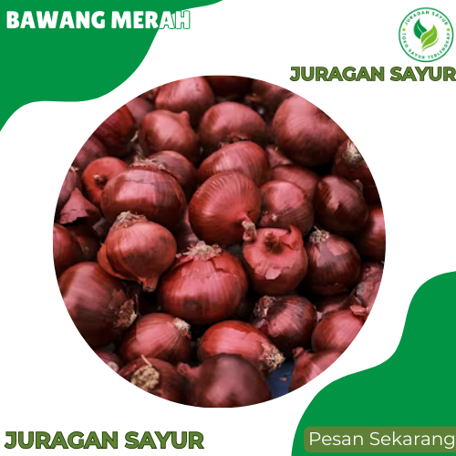 

Bawang Merah 500 gram - Bawang Merah Murah - Bawang Merah 1 kg - SUPER PREMIUM - Juragan Sayur