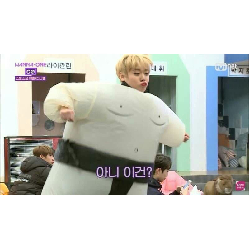 angely gemini booked