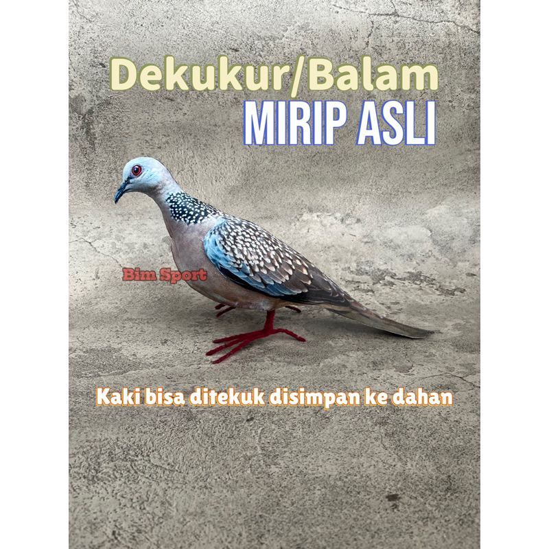 Patung Burung Tekukur Balam - Burung Dekukur
