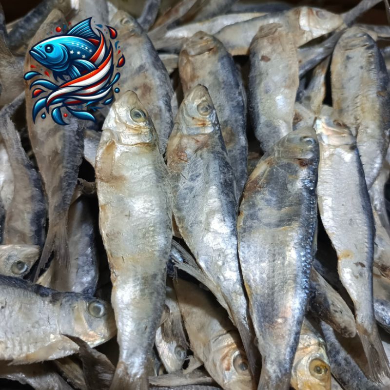 

Ikan tembang
