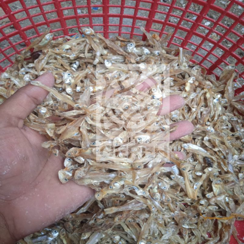

Ikan TERI Kering special