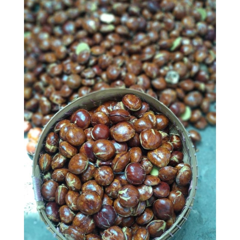 

Jengkol tua mentah super