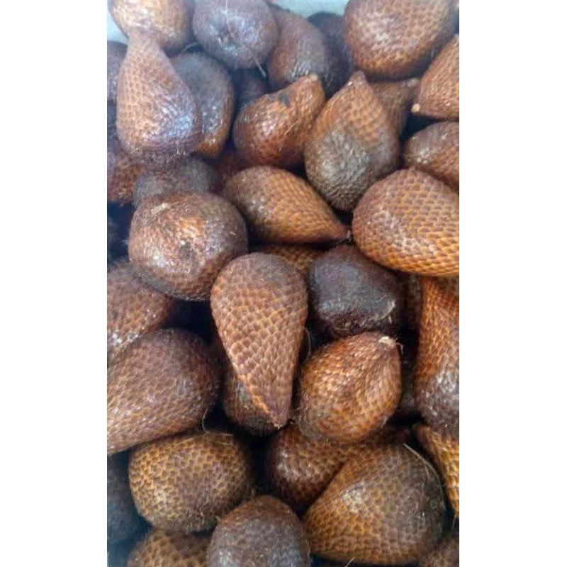 

buah salak sedang 1 kg salak pondoh