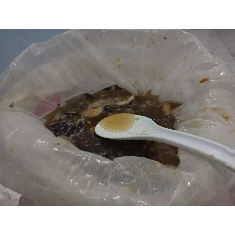 

Paket Usaha Madu Hutan Asli asal Sumatera 5kg