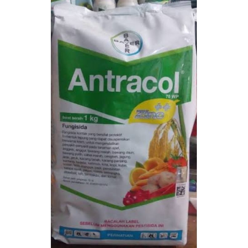 Fungisida Antracol 1 kg