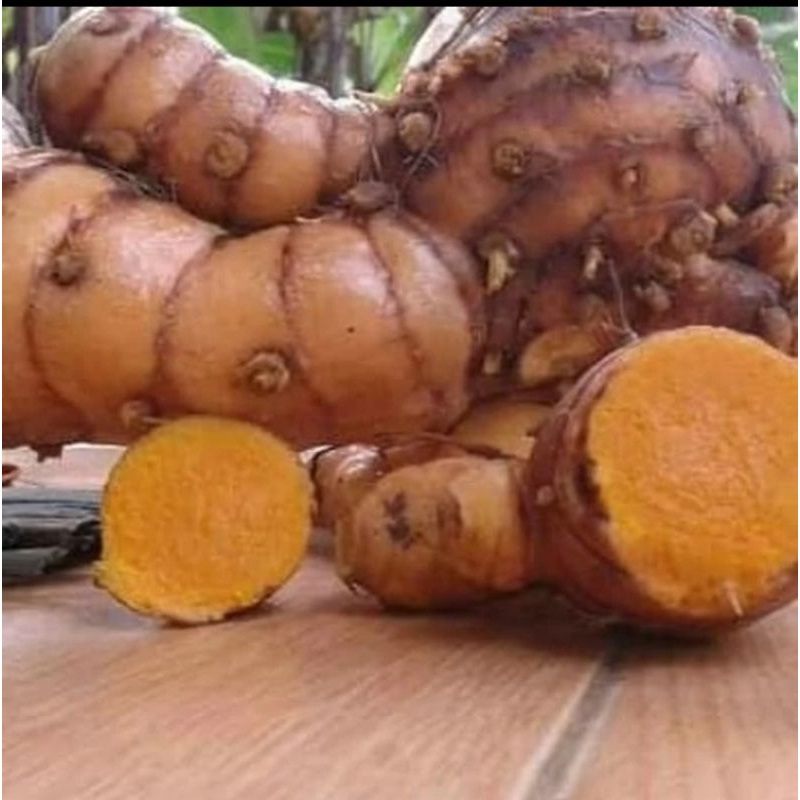 

TEMULAWAK ORGANIK 500 g