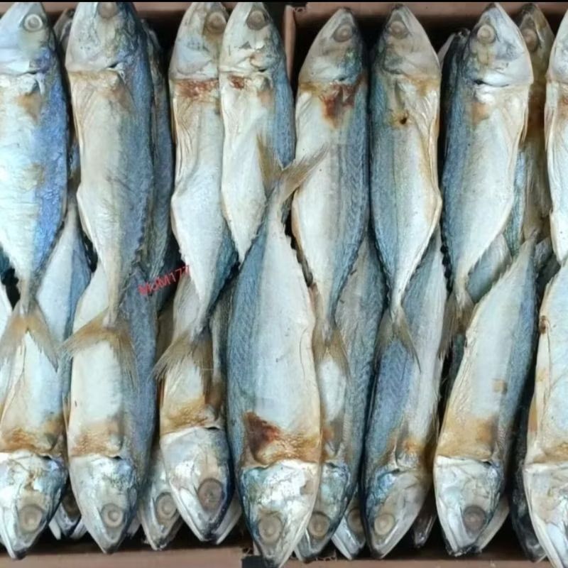 

ikan asin peda gembung banyar Special Superan