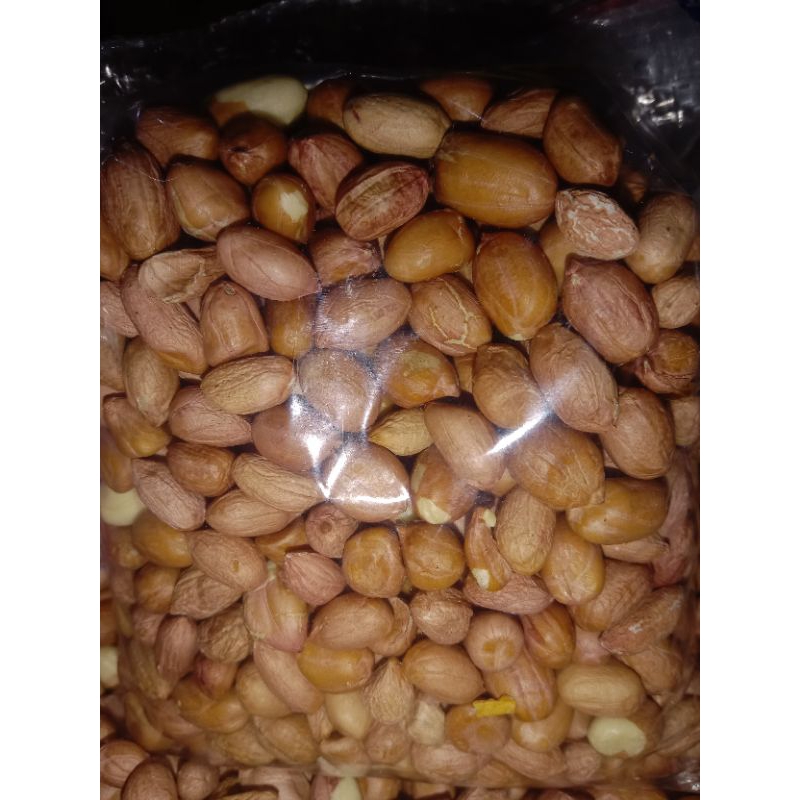 

KACANG TANAH,JUMBO