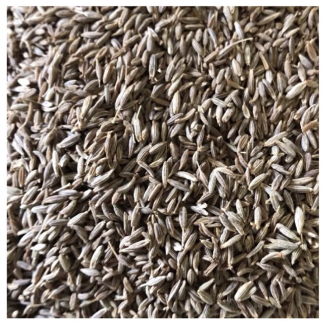 

Cumin Seed / Jintan Jeera / Jintan India / Import 10 Kg