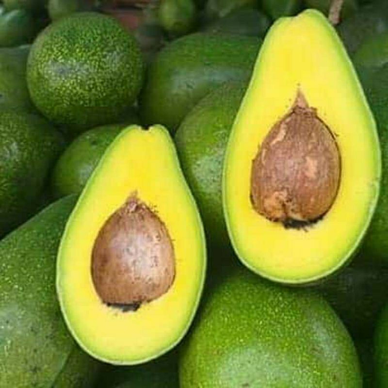 

Alpukat Pluwang 1kg