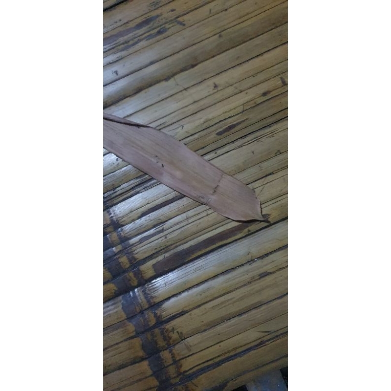 daun bambu kering