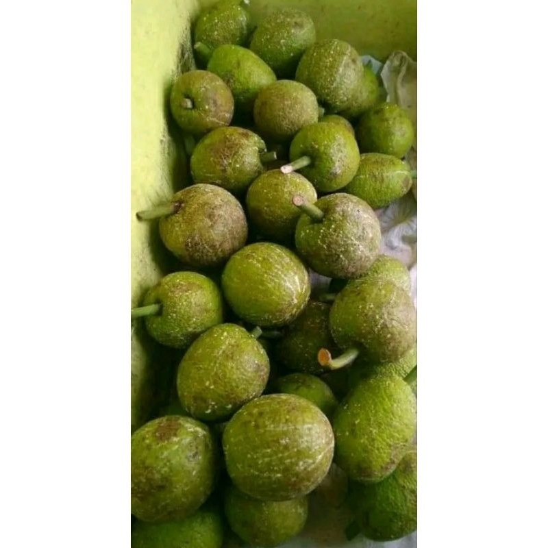 

SUKUN SEGAR MURAH SUKUN GUNDUL/MADU,SUKUN BERDURI/KERIPIK 1KG
