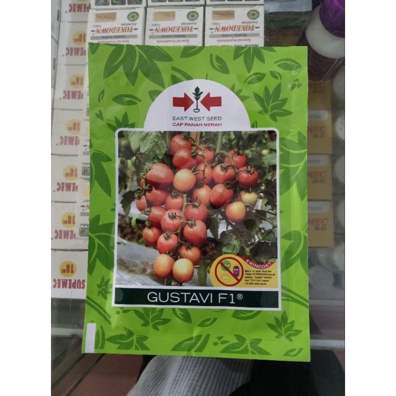 benih bibit tomat gustavi F1 panah merah