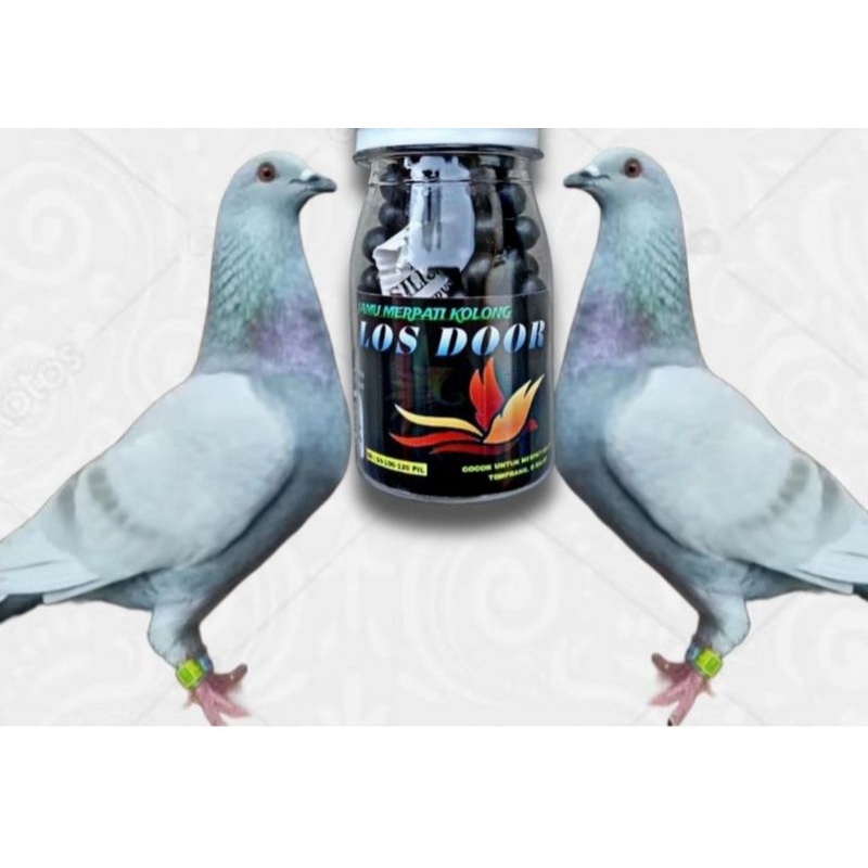 Wulann_Gemintang Jamu Merpati Kolong Los Door 50 Pil/Sarang Walet Ferfect Power Raja Pukul Stut Door