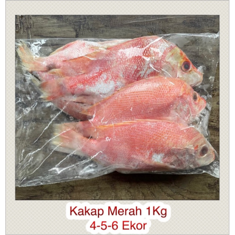 

Ikan Kakap Merah 1Kg (4-5-6 Ekor)