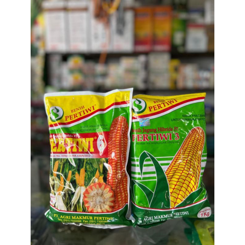 Benih jagung Pertiwi. PERTIWI 3 DAN PERTIWI 6