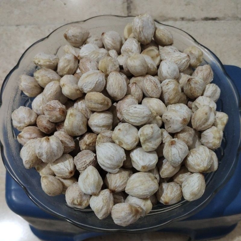 

Kemiri bulat kwalitas super 1kg