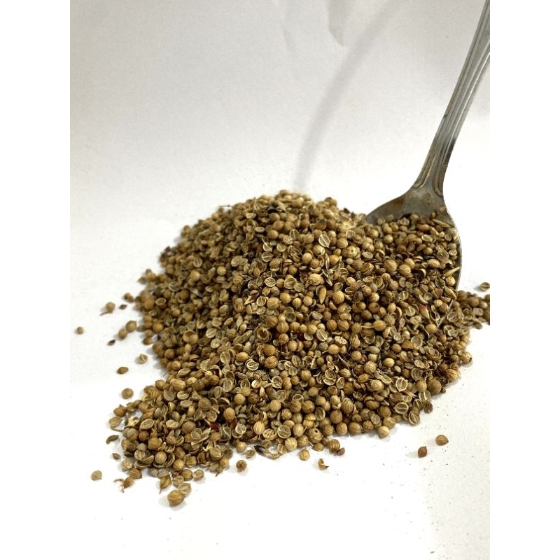 

ketumbar bulgaria pecah