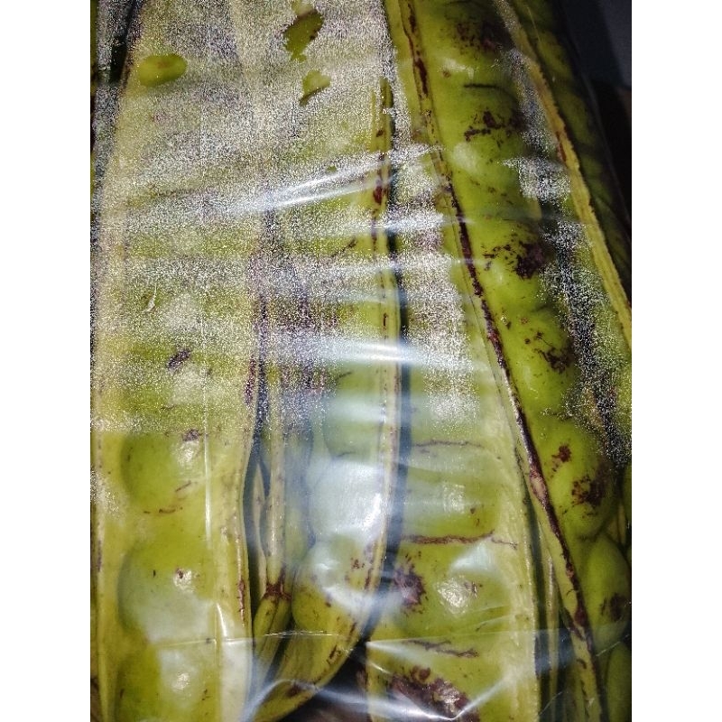 

pete dadakan super 5 pcs / 5 lonjor / 5 papan