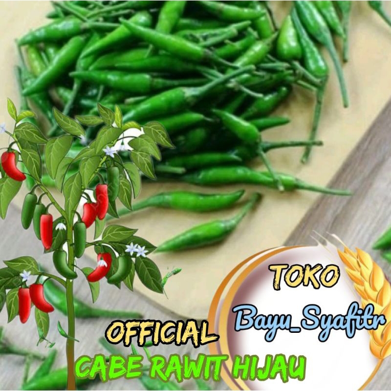 

Bumbu Dapur Cabe rawit hijau berkualitas baik