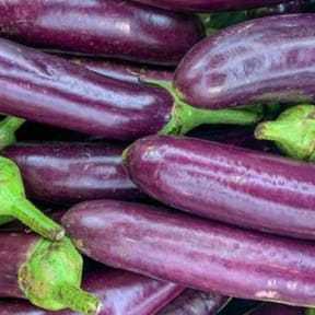 

Fresh Vegetable Purple Eggplant