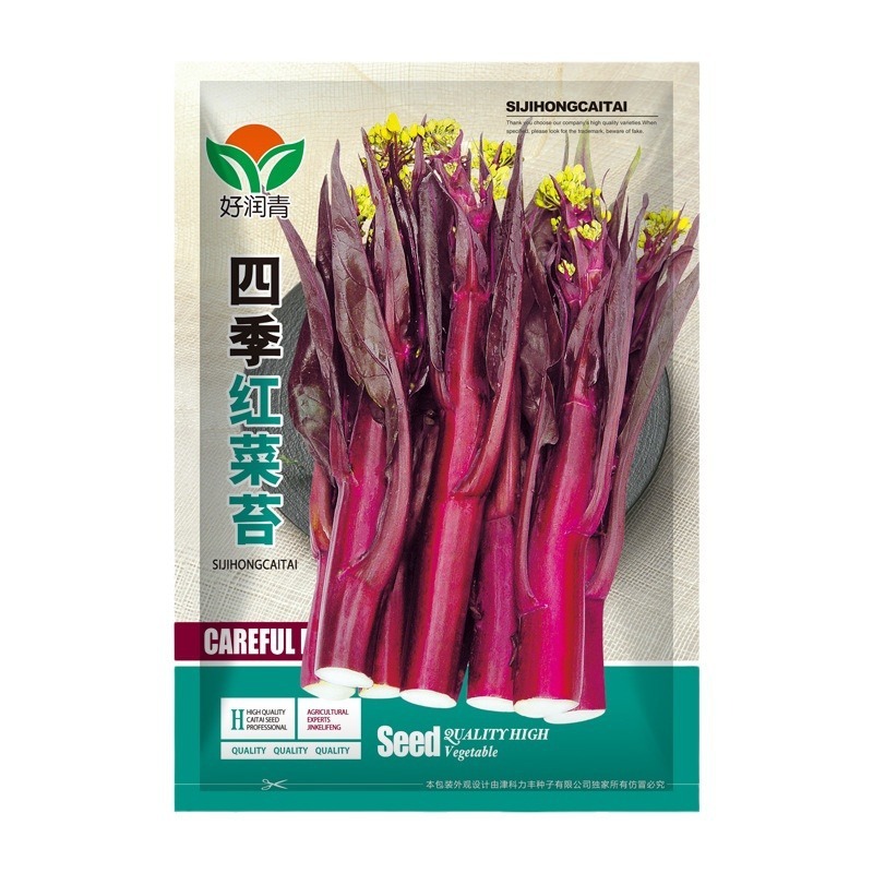 (1000 Biji) Benih Kale Merah F1 Import