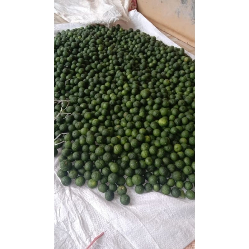 

JERUK LIMAU 1KG