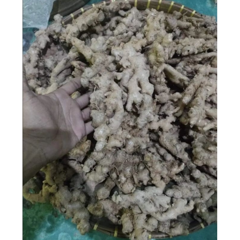

Jahe Emprit kualitas Super 500gr