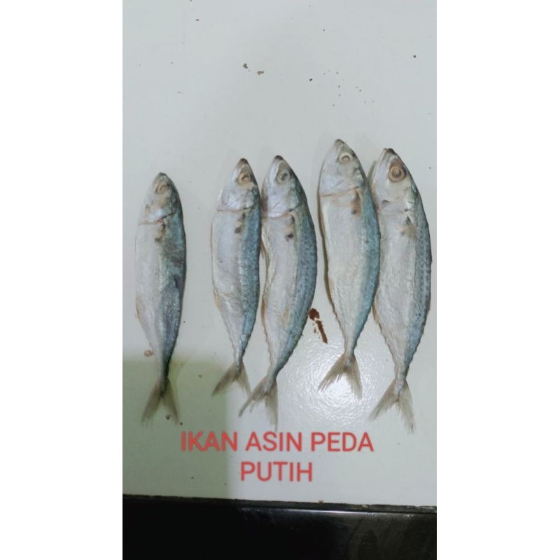 

IKAN ASIN PEDA PUTIH 500GR/PER 1 KILO ISI 14 biji