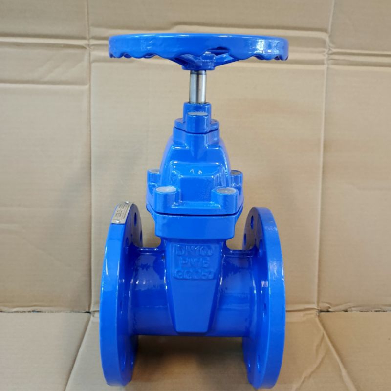 Gate valve Cast Iron 3" Inch Flange PN16 / Gate Valve Resilient DN80