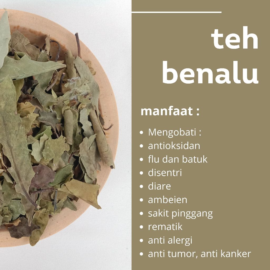 

TEH DAUN BENALU