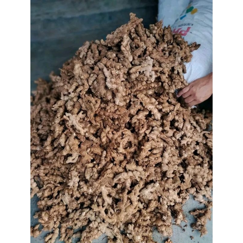 

Jahe emprit asli pedas 1kg