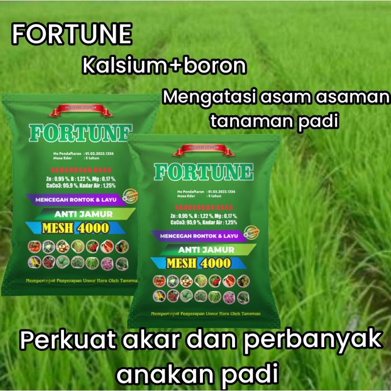 Fortune Kalsium 1 kg Obat asem aseman Tanaman Padi