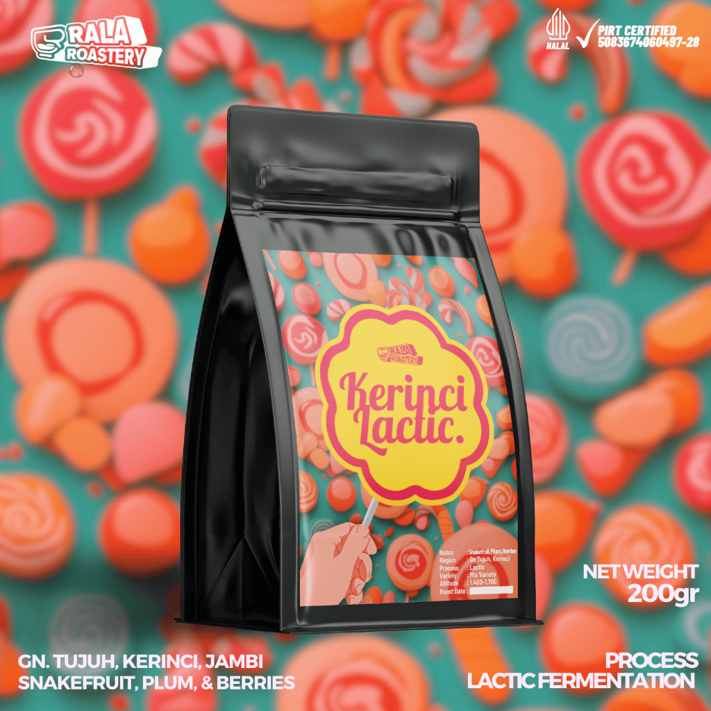 

Kopi Arabika Kerinci Lactic | Biji Kopi Single Origin Arabica 200gr